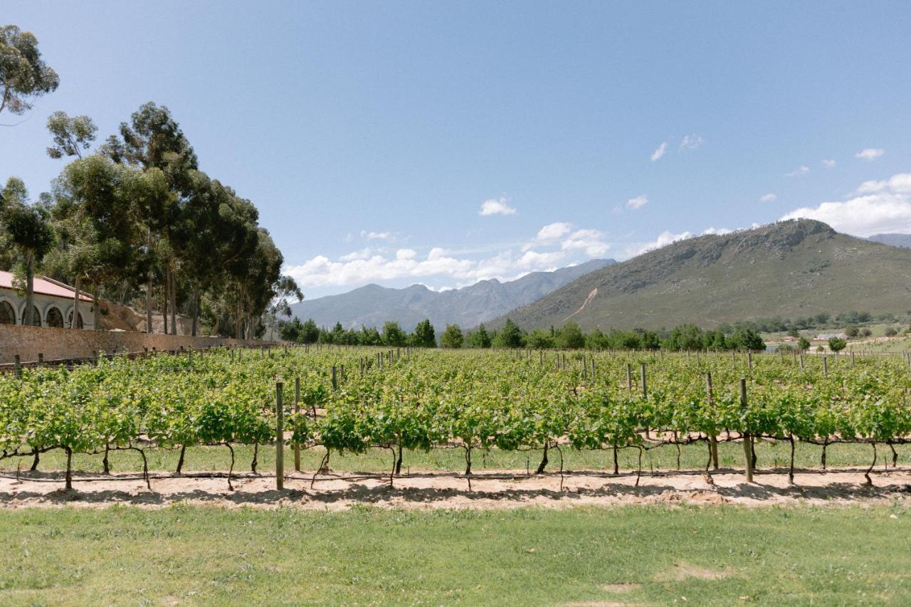 La Roche Estate Appartement Franschhoek Buitenkant foto